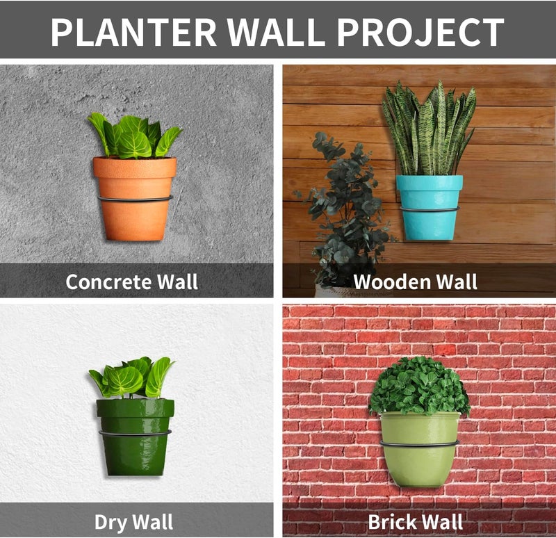 Neiteli 6 Pack 6 Inch Wall Plant Holder,Metal Plant Hanger Indoor,Wall Planters For Indoor Plants,Black - Image 3